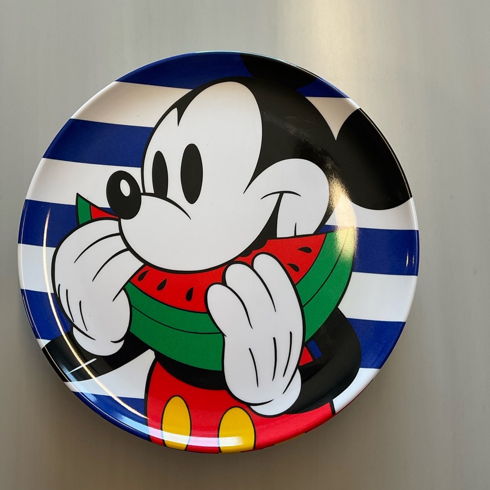Set of 8 10 inch melamine  dinner plates